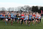 Boys under-13 North Eastern Cross Country, Redcar. Photo:  David T. Hewitson/Sports for All Pics